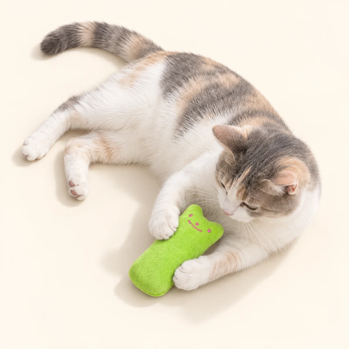 Dilute calico cat curled around the small lime catnip pillow on an ivory studio floor.