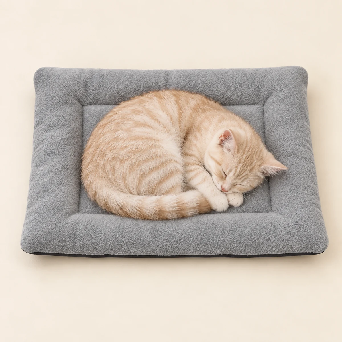 A small cream tabby curled asleep within the grey nap pad, viewed from above.