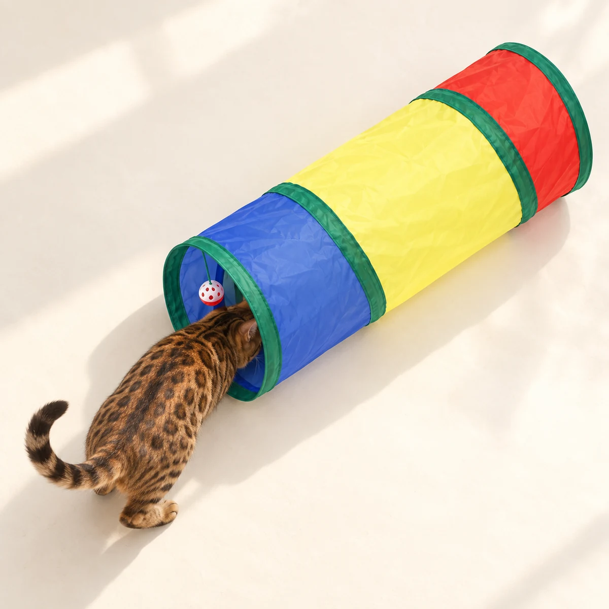 Overhead view of a Bengal entering the blue end of the rainbow tunnel.