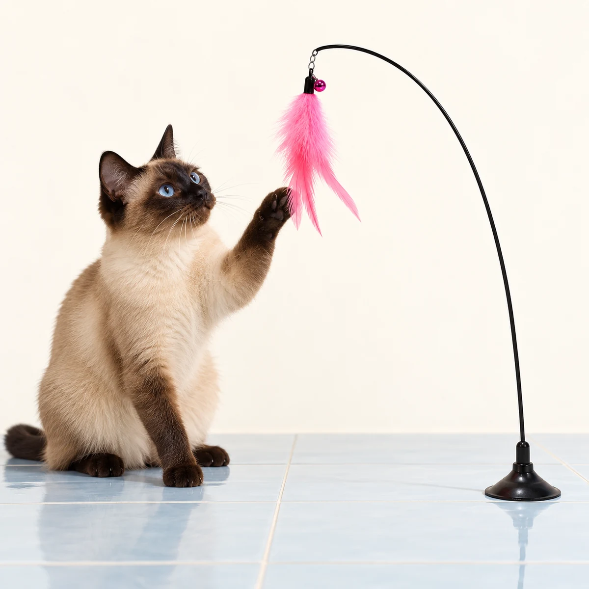 A seal-point Siamese reaching toward the pink feathers while the teaser's base and full arch remain visible.